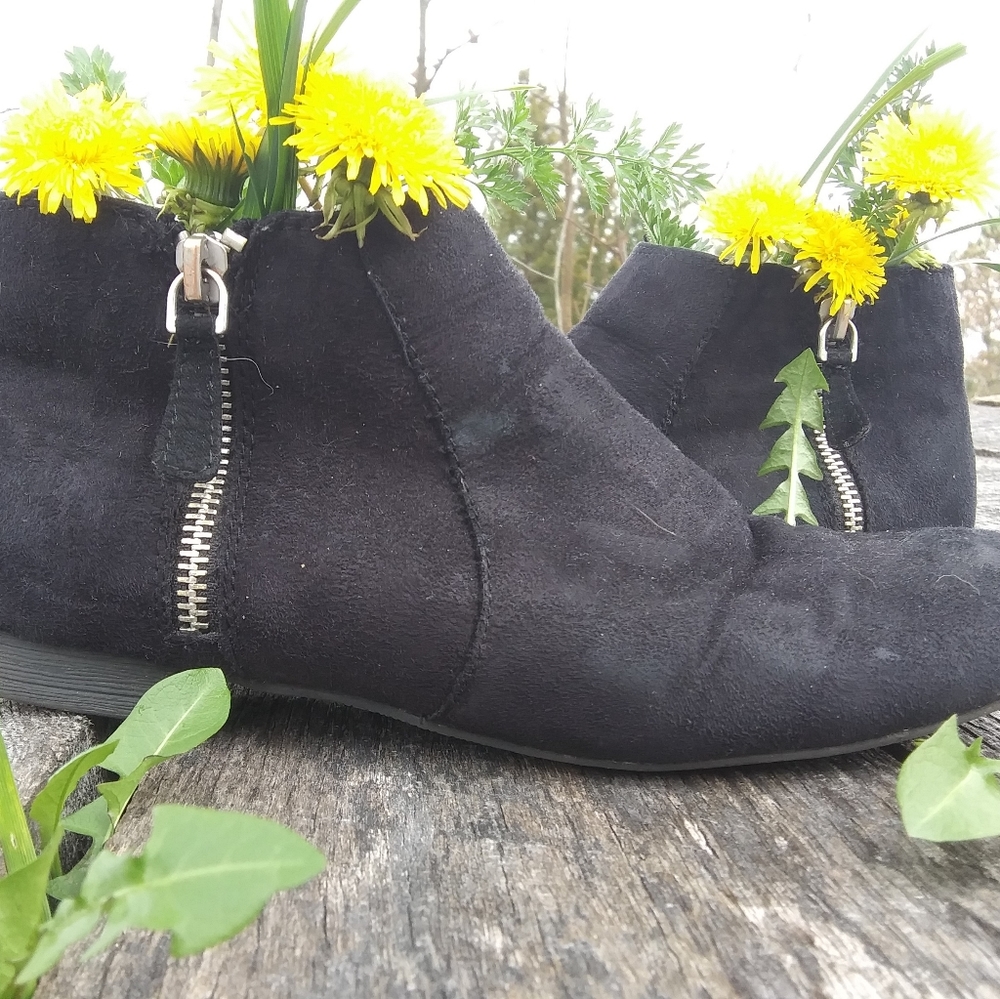 American Eagle booties